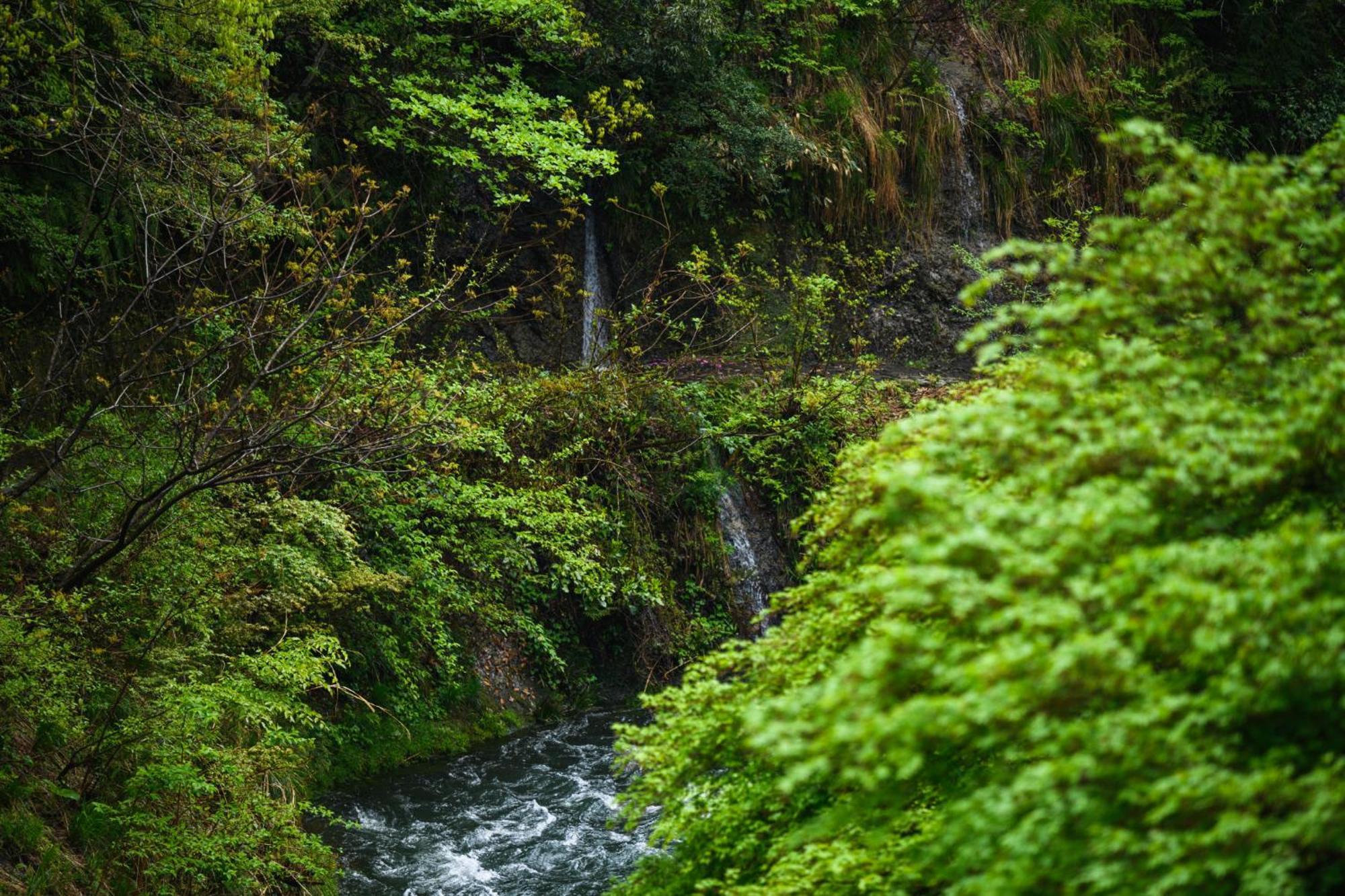 Shirasagiyu Tawaraya Hotel Kaga  Kültér fotó