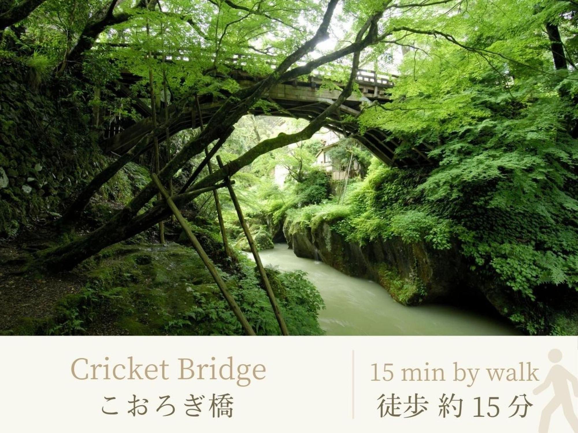 Shirasagiyu Tawaraya Hotel Kaga  Kültér fotó