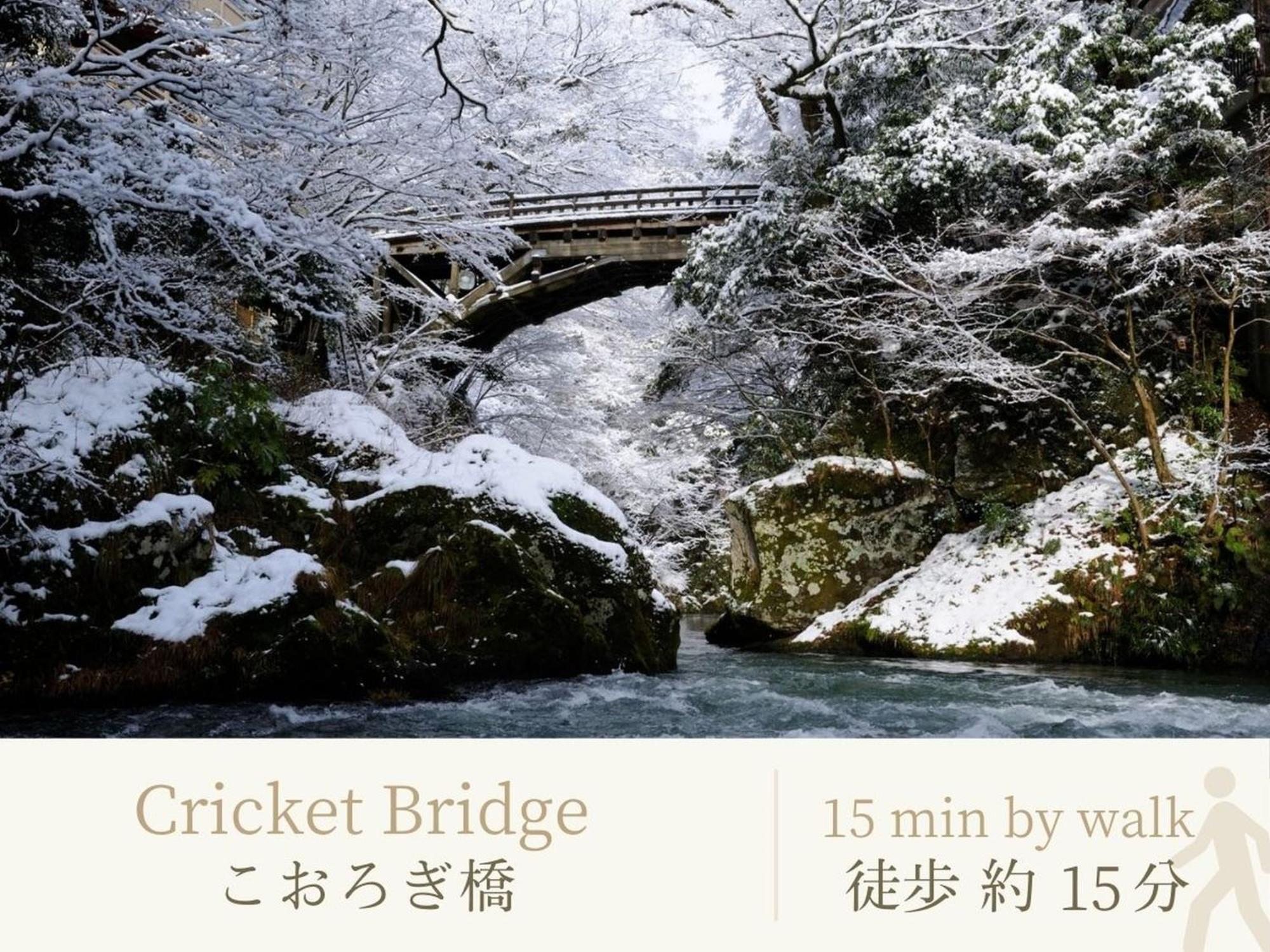 Shirasagiyu Tawaraya Hotel Kaga  Kültér fotó